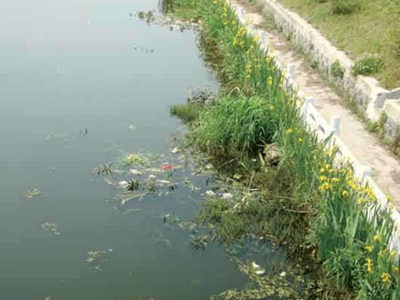 深圳水質(zhì)檢測(cè)機(jī)構(gòu)
