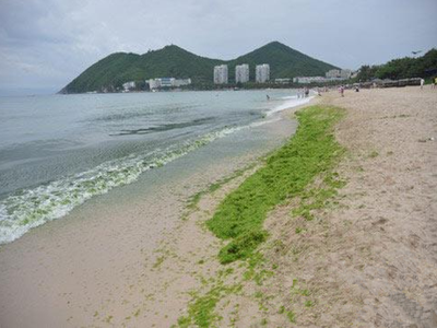 深圳水質(zhì)檢測(cè)機(jī)構(gòu) 深圳水質(zhì)檢測(cè)機(jī)構(gòu)