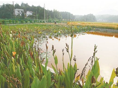 深圳水質(zhì)檢測 深圳水質(zhì)檢測
