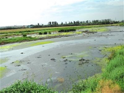 深圳水質(zhì)檢測機(jī)構(gòu) 深圳水質(zhì)檢測機(jī)構(gòu)